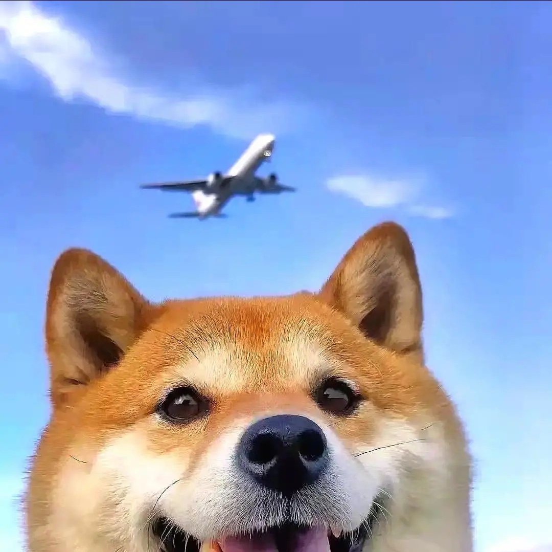 霧